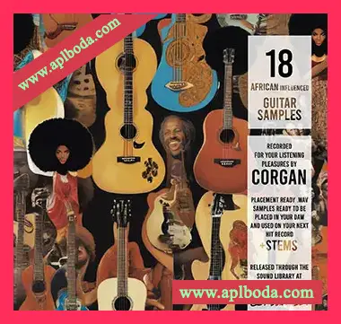[非洲节奏采样]Corgan 18 Afro Guitar Samples [WAV]（274Mb）