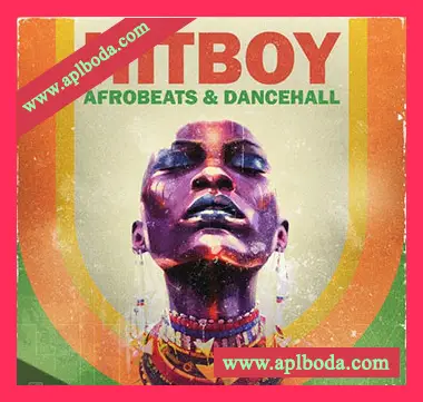 [非洲打击乐雷鬼Dancehall舞曲素材]VBGotHeat HitBoy 1 Afrobeats and Dancehall [WAV, MiDi]（430Mb）