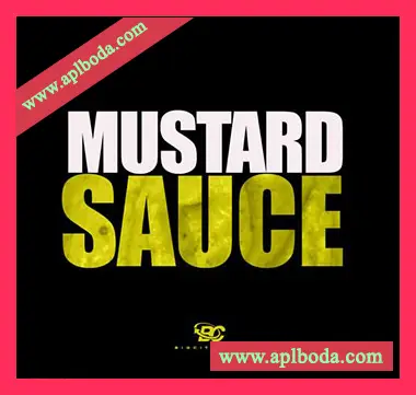 [嘻哈说唱采样]Big Citi Loops Mustard Sauce [WAV]（68Mb）