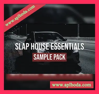 [流行浩室电子舞曲采样Serum预置]Bullet Sounds Slap House Essentials v13（369Mb）