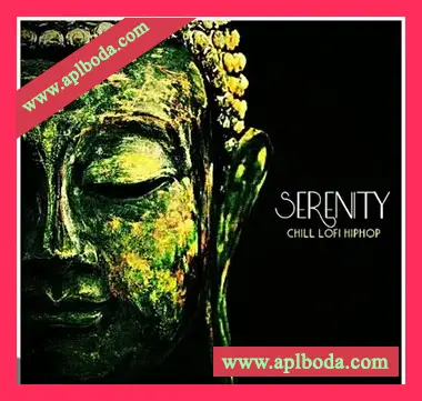 [低保真氛围嘻哈采样]Bones N Grit Audio Serenity Chill Lo-Fi Hip Hop [WAV]（162Mb）