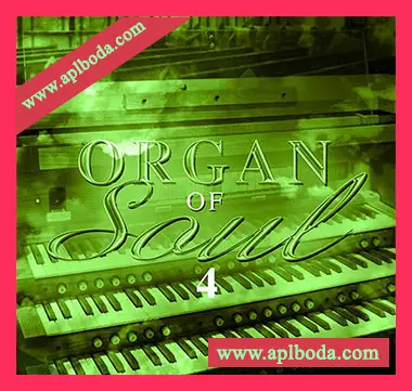 [灵魂嘻哈RnB风琴采样]Big Citi Loops Organ Of Soul 4 [WAV]（165Mb）
