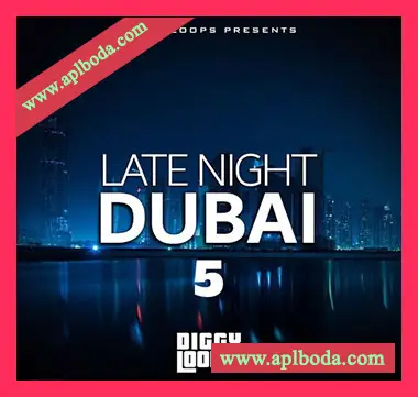 [灵魂RnB采样]Big Citi Loops Late Night Dubai 5 [WAV]（90Mb）
