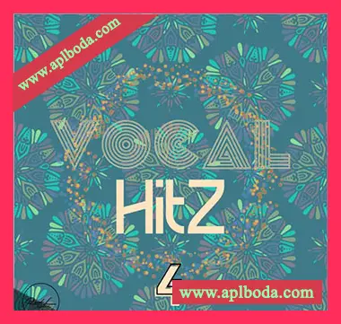 [POP流行人声素材]Roundel Sounds Vocal Hits Vol.4 [WAV, MiDi]（571Mb）