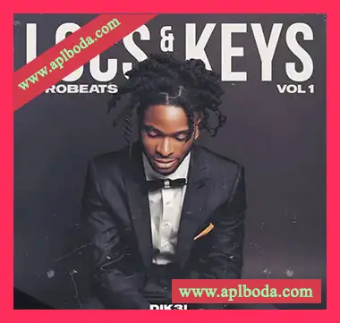 [非洲节奏素材]Dik3l Sounds Locs And Keys Vol 1 Afrobeats [WAV, MiDi]（149.57Mb）
