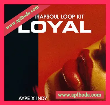 [灵魂RnB采样]Aypebeatz LOYAL + Stems [WAV]（295Mb）