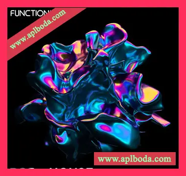 [流行浩室采样]Function Loops Pop + House [WAV]（142Mb）