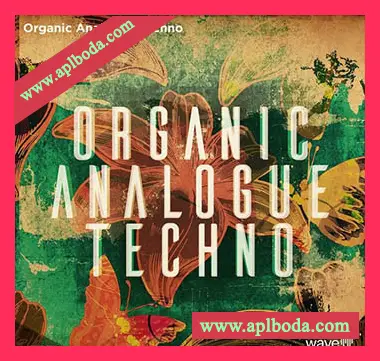 [Techno-Tech素材+Ableton扩展]Wave Alchemy Organic Analogue Techno [多格式]（3.62Gb）