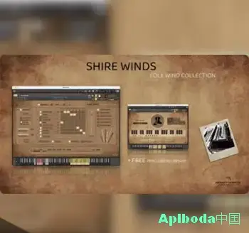 [民间木管乐器音源]Insanity Samples Shire Winds v1.5.0 [KONTAKT]（2.19Gb）