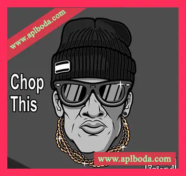 [灵魂放克RnB切片采样]AudioFriend Chop This [WAV]（112Mb）