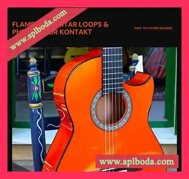 [弗拉门戈吉他乐句音源]PastToFutureReverbs Flamenco Guitar Loops And Phrases [KONTAKT]（71Mb）