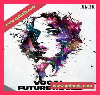 [浩室人声素材Spire预置Avenger预置Massive预置Serum预置]Mainroom Warehouse Vocal Future House Anthems [多格式]（837Mb）