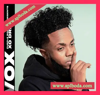[嘻哈RnB人声采样]VOX Purple Sounds Presents XO Drew Vocal Pack [WAV]（400Mb）