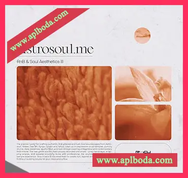 [RnB采样]Renraku Astrosoul RnB and Soul Aesthetics III [WAV]（1.45Gb）