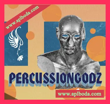 [民族打击乐采样]RARE Percussion PercussionGodz Vol.6 [WAV]（366Mb）
