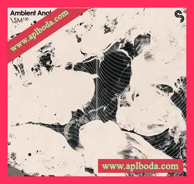 [泰克诺舞曲采样]Sample Magic Ambient Analog Techno [WAV]（926Mb）