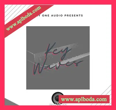 [RnB采样]Day One Audio Key Waves [WAV]（112Mb）