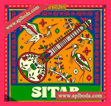 [西塔尔琴采样]Aaroh Sitar [WAV]（917Mb）