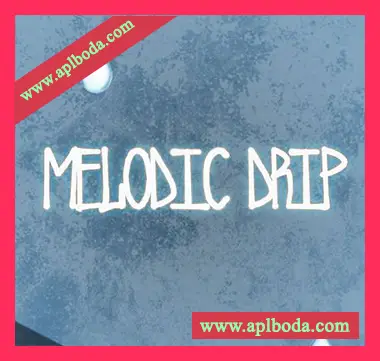 [Trap陷阱采样]Ztar Audio Melodic Drip [WAV]（63Mb）