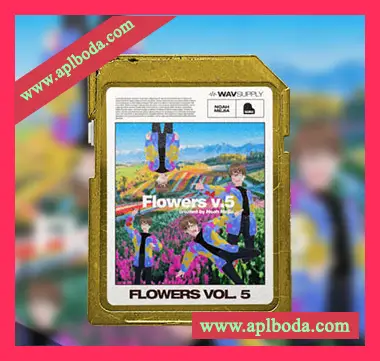 [嘻哈说唱采样]WavSupply Noah Mejia Flowers Vol.5 (One Shot Kit) [WAV]（165Mb）