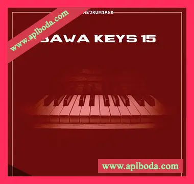[民族乐器采样]Dynasty Loops Bawa Keys 15 [WAV]（25Mb）