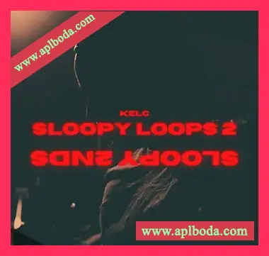 [RnB采样]KelC Sloopy Loops (Sloopy Loops 2nd Edition) [WAV]（62Mb）