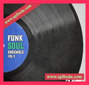 [灵魂放克采样]New Beard Media Funk Soul Ensemble Vol.3 [WAV]（46Mb）