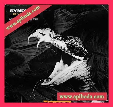 [嘻哈陷阱RnB采样]Trap Veterans Syndicate [WAV]（28Mb）