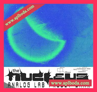 [Analog Lab预置怀旧乐]Looisey THE NUCLEUS (Analog Lab V Bank) （38Mb）