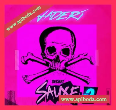 [EDM电子舞曲采样]Splice Sounds Naderi’s Secret Sauxe Vol.2 [WAV]（102Mb）