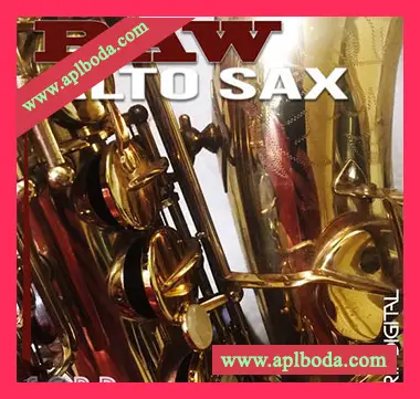 [爵士布鲁斯萨克斯采样]Trip Digital Raw Alto Sax [WAV]（5Mb）