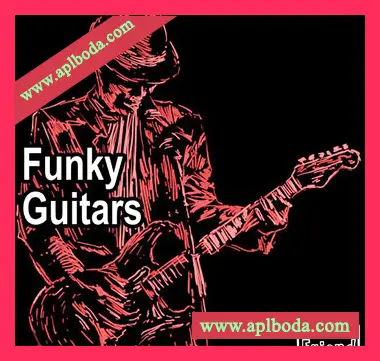 [放克吉他采样]AudioFriend Funky Guitars [WAV]（154Mb）