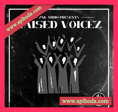 [嘻哈陷阱采样]YnK Audio Raised Voicez [WAV]（106Mb）