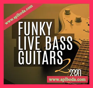 [灵魂RnB放克Bass采样]2320 Click Entertainment Waites Funky Live Bass Guitars 2 [WAV]（309Mb）