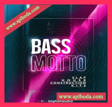 [浩室电子舞曲素材]Big Fish Audio Bass Motto [WAV, MiDi, ACiD]（1.86Gb）