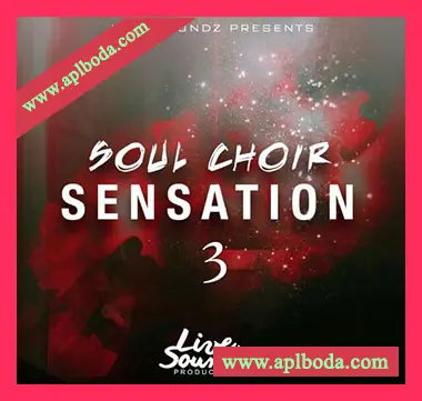 [爵士RnB福音乐人声采样]Innovative Samples Soul Sensation Choir 3 [WAV]（103Mb）