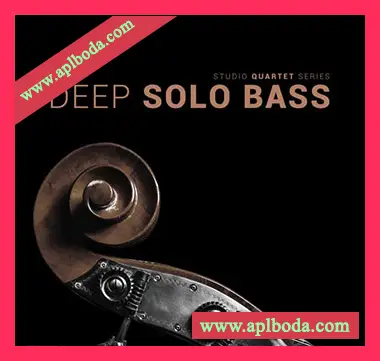 [独奏贝斯音源]8Dio Studio Quartet Series Deep Solo Bass [KONTAKT]（8.62Gb）