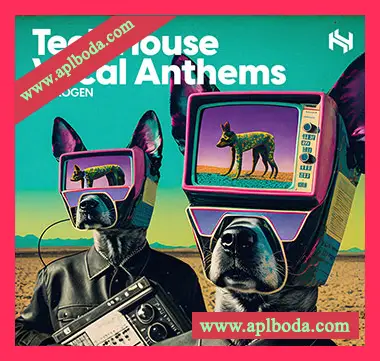 [科技浩室人声素材]HY2ROGEN Tech House Vocal Anthems [多格式]（334Mb）