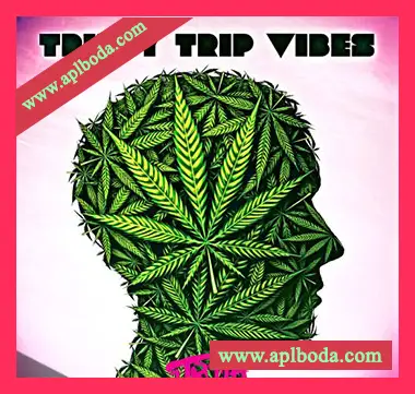 [嘻哈TripHop采样]DJ 1Truth Trippy Trip Vibes [WAV]（146Mb）
