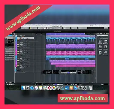 [Cubase5集成工具VST插件]Steinberg Cubase 5 Pro The Secret Pothead Build v5.1.2 [WiN]（37Mb）