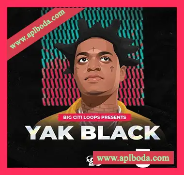 [嘻哈说唱采样]Big Citi Loops Yak Black 5 [WAV]（37Mb）