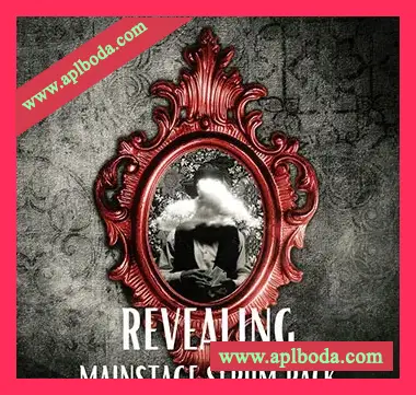 [Serum预置电子舞曲泰克诺舞曲]Innovation Sounds Revealing Mainstage Serum Pack（83Mb）