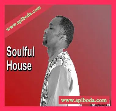 [浩室采样]AudioFriend Soulful House [WAV]（181Mb）
