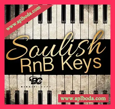 [RnB钢琴采样]Big Citi Loops Soulish RnB Keys [WAV]（110Mb）