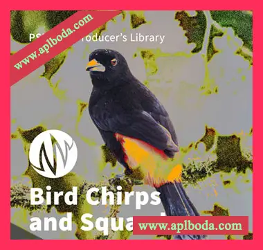 [鸟鸣声音效FX采样]PSE The Producer’s Library Bird Chirps and Squawks [WAV]（40Mb）