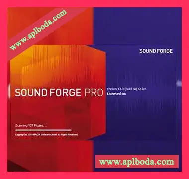 MAGIX SOUND FORGE Pro Portable v13.0.0.96 (x64) [WiN]（182Mb）