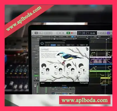 [微光调制器插件]Puremagnetik Shrike v1.0.1 RETAiL [WiN, MacOSX]（37Mb）