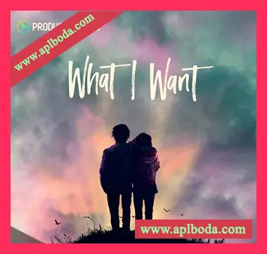 [流行电子舞曲素材]Producer Loops What I Want [多格式]（1.72Gb）