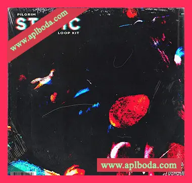 [RnB采样]Pilgrim Static Loop Kit [WAV]（560Mb）