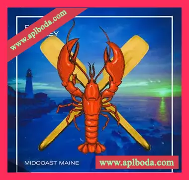 [影视乐采样]Field and Foley Midcoast Maine [WAV]（1Gb）